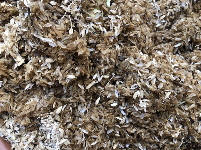 f:id:sk6960:20191130114908j:plain