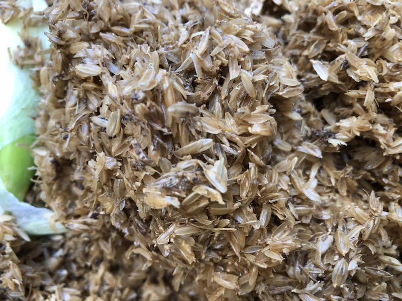 f:id:sk6960:20191130114913j:plain