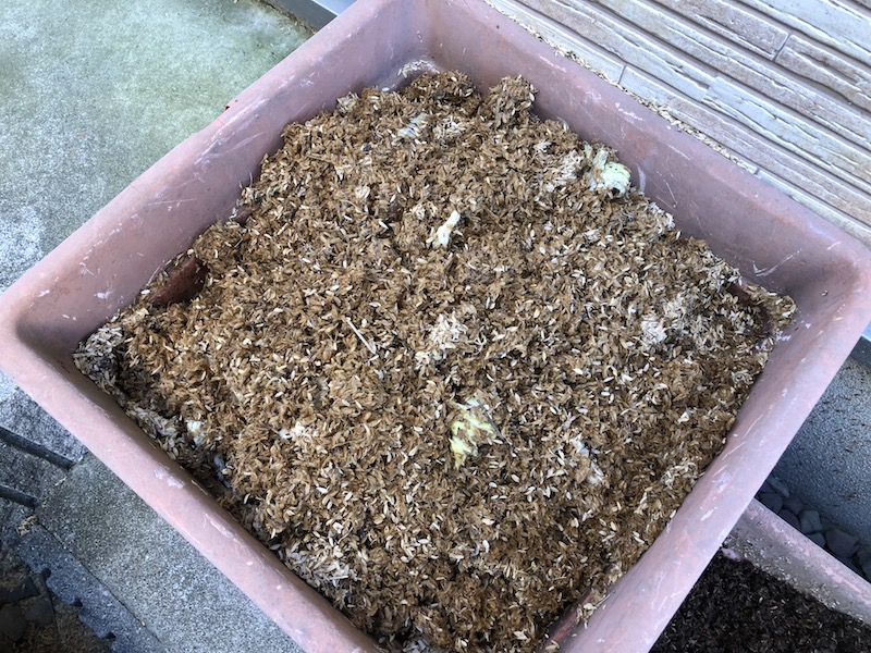 f:id:sk6960:20191130114917j:plain