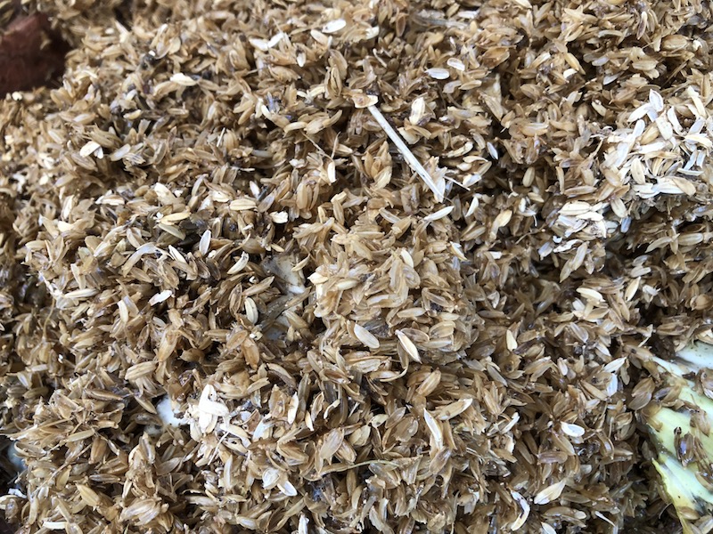 f:id:sk6960:20191130114921j:plain