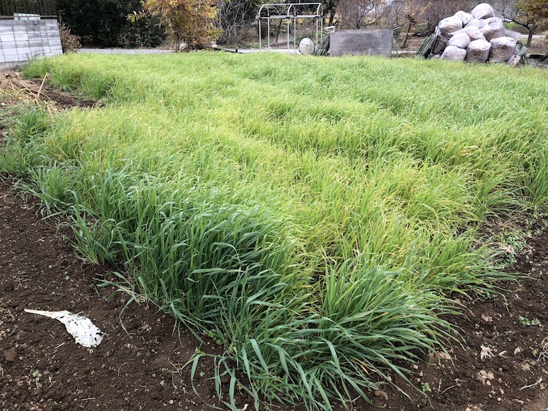 f:id:sk6960:20191207113902j:plain