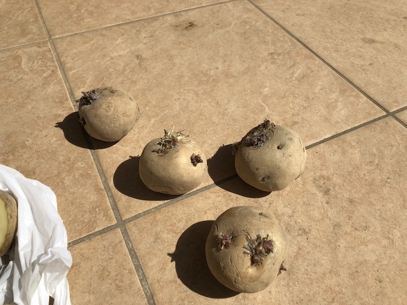 f:id:sk6960:20200321155359j:plain