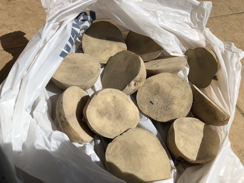 f:id:sk6960:20200321155408j:plain