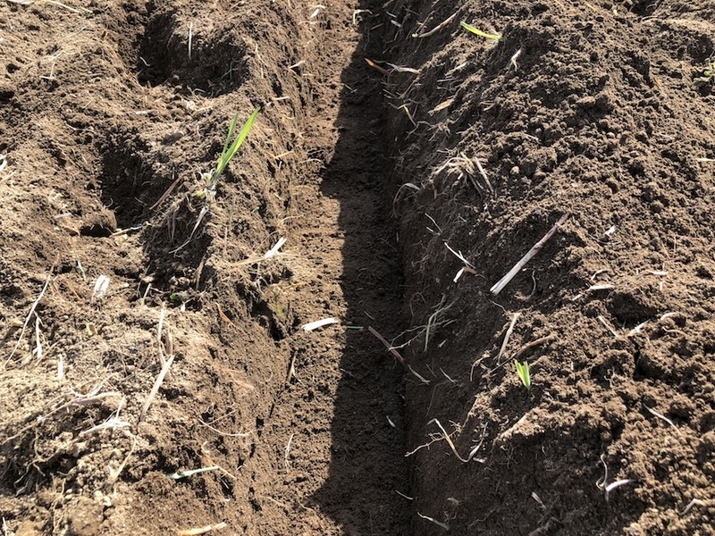 f:id:sk6960:20200321155653j:plain