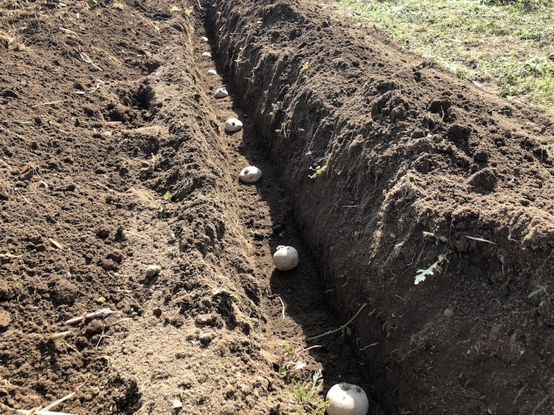 f:id:sk6960:20200321155656j:plain