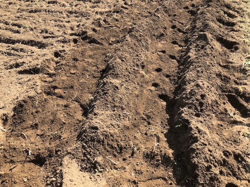 f:id:sk6960:20200321155708j:plain