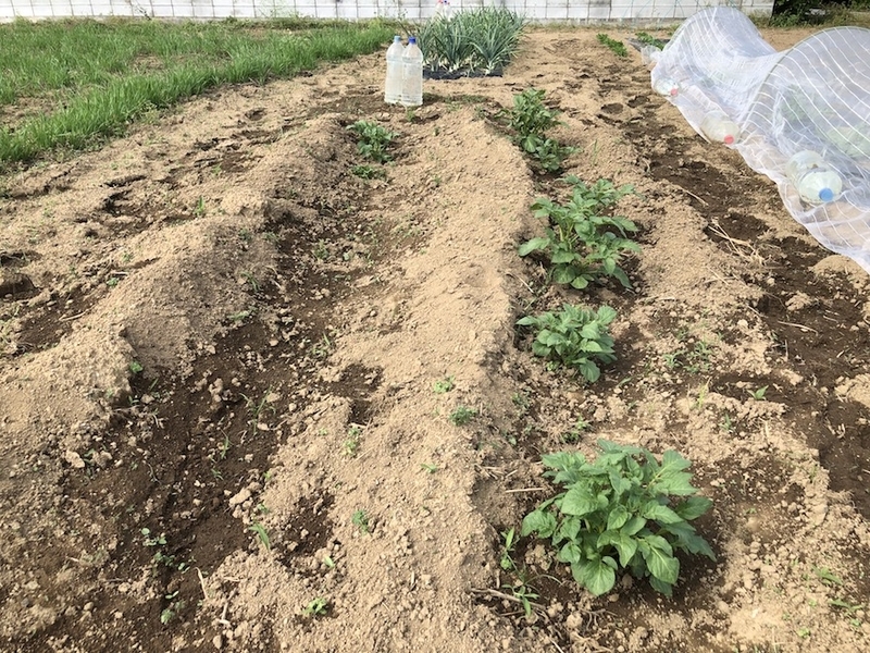 f:id:sk6960:20200518091732j:plain