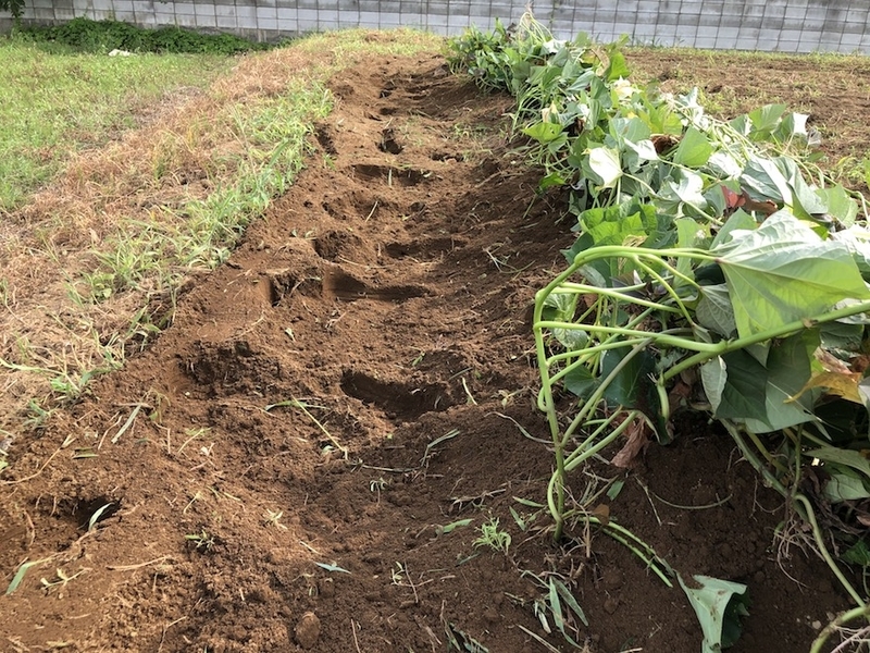 f:id:sk6960:20200810075811j:plain