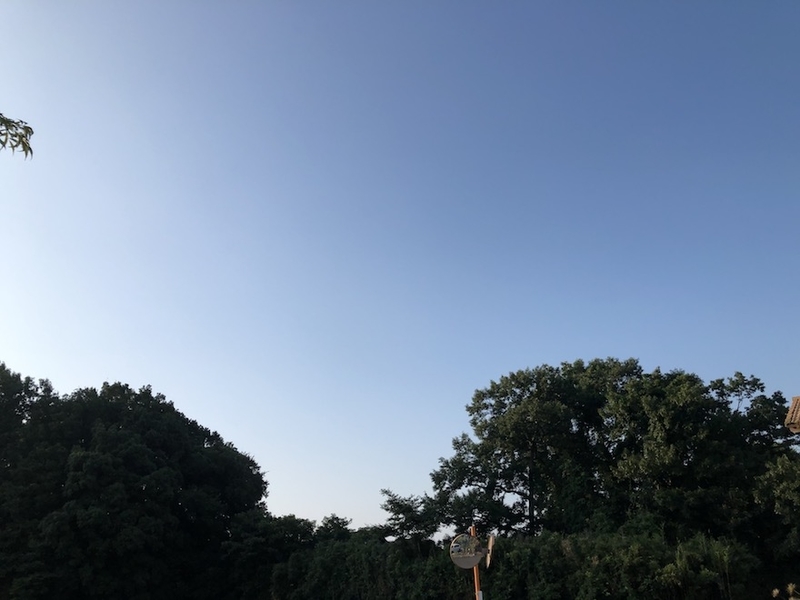 f:id:sk6960:20200817084603j:plain