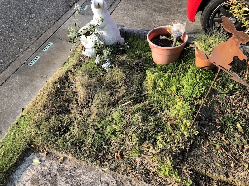 f:id:sk6960:20200817084606j:plain