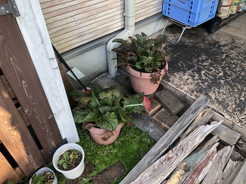 f:id:sk6960:20200817084611j:plain