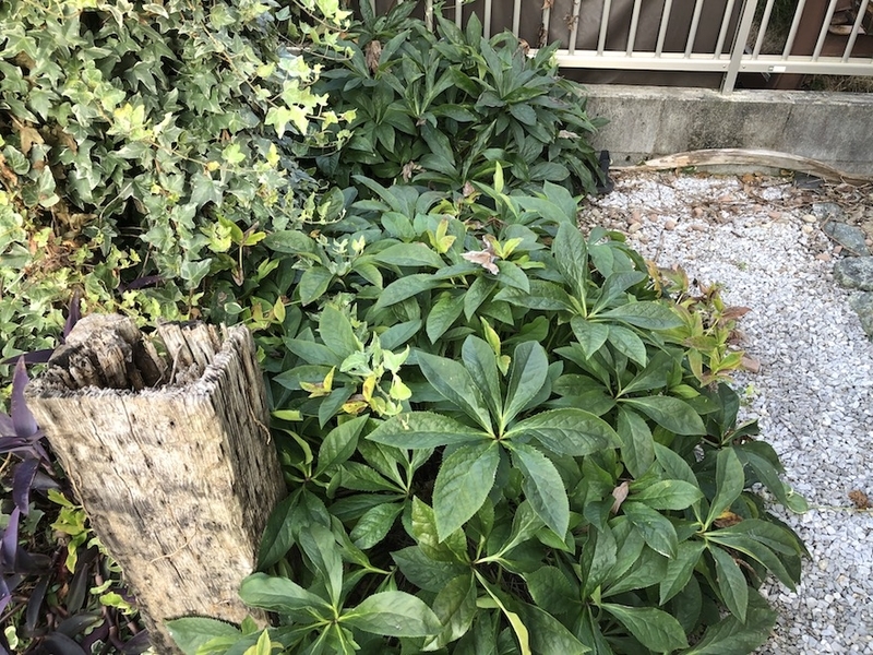 f:id:sk6960:20200817084627j:plain