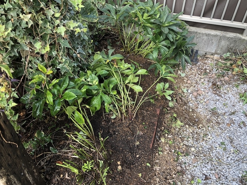 f:id:sk6960:20200817084659j:plain