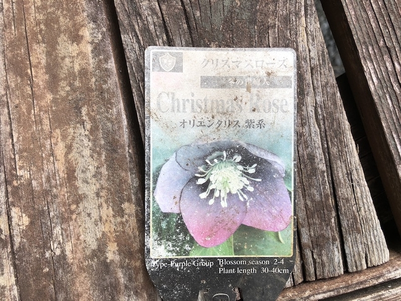 f:id:sk6960:20200817084716j:plain