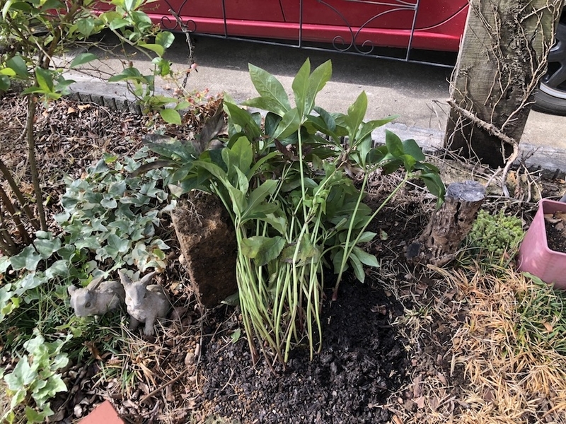 f:id:sk6960:20200817084725j:plain