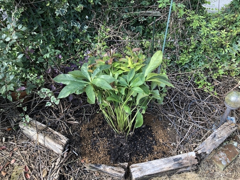 f:id:sk6960:20200817084747j:plain