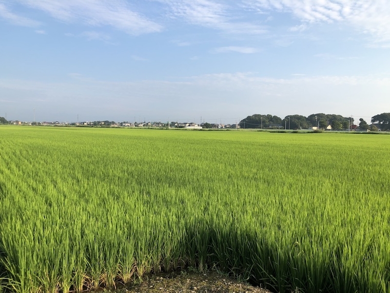 f:id:sk6960:20200817084812j:plain