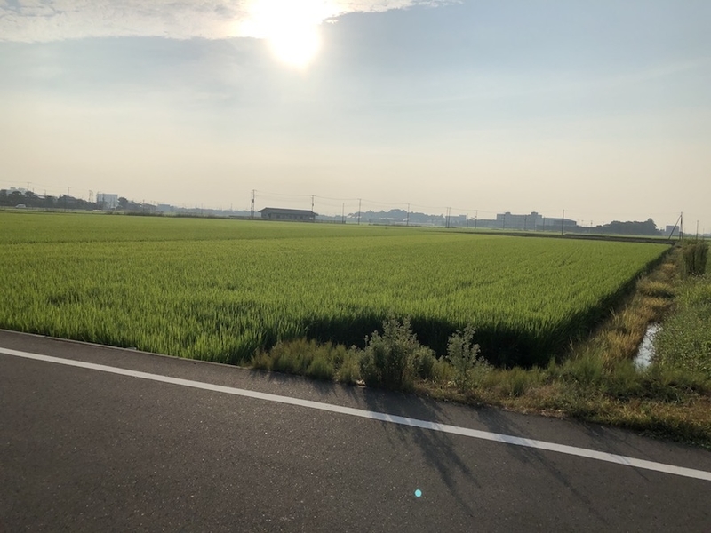 f:id:sk6960:20200817084815j:plain