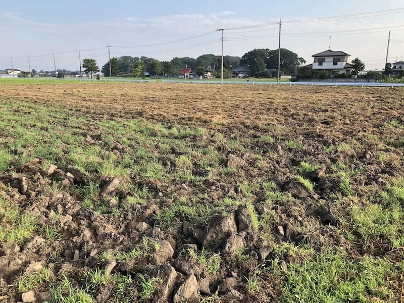 f:id:sk6960:20200817084828j:plain