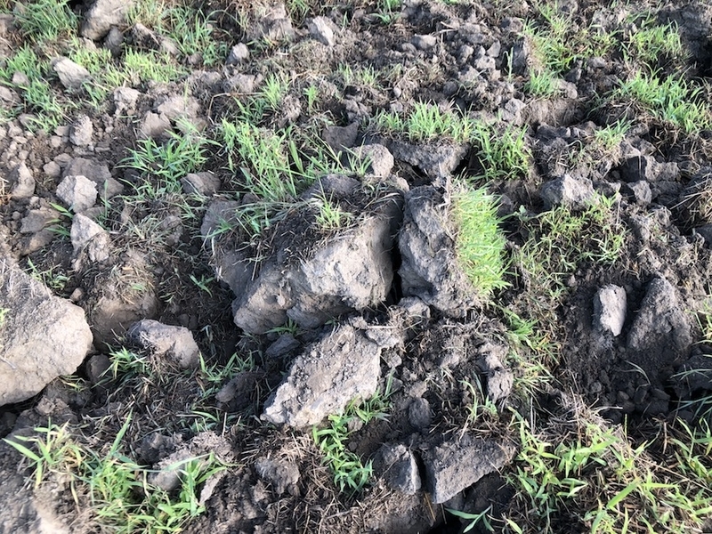 f:id:sk6960:20200817084832j:plain