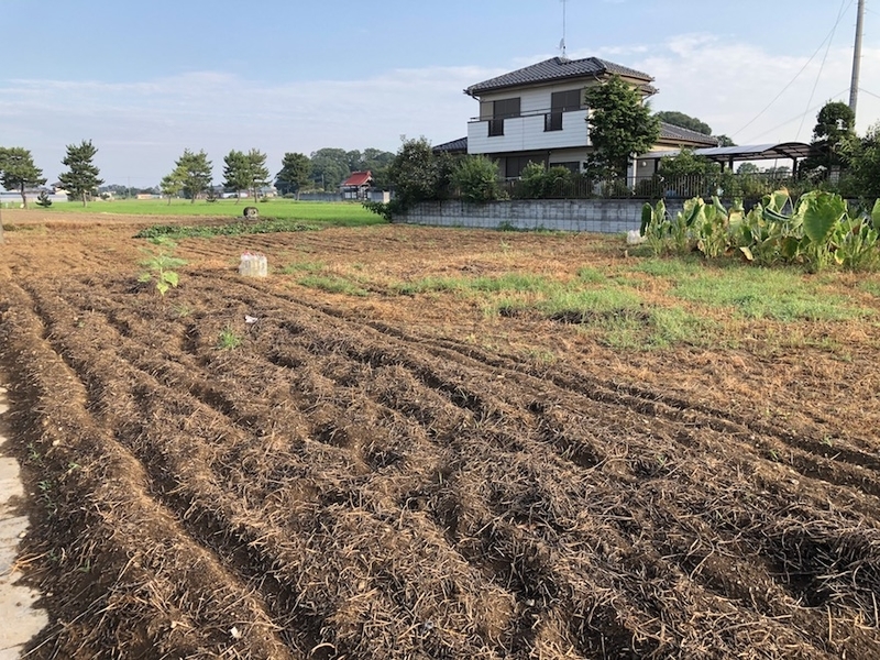 f:id:sk6960:20200817084837j:plain