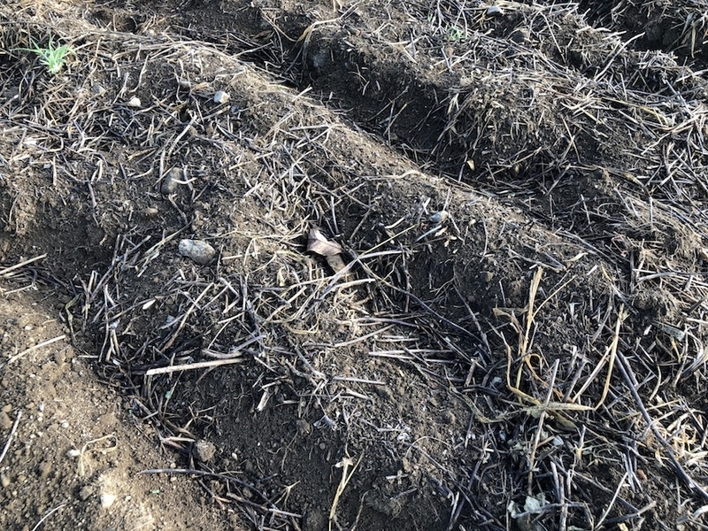 f:id:sk6960:20200817084845j:plain