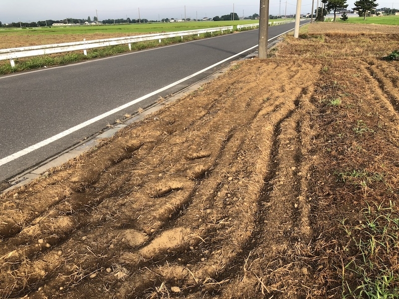 f:id:sk6960:20200817084853j:plain