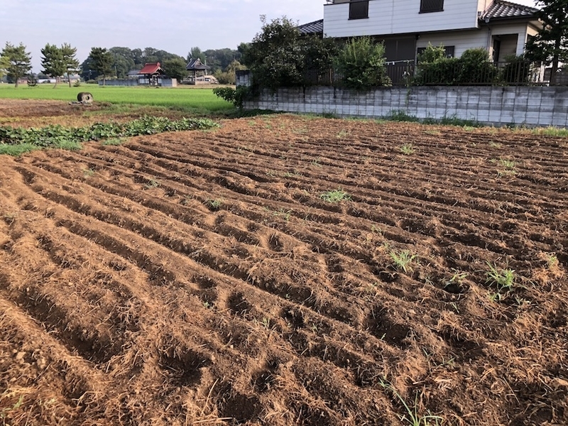 f:id:sk6960:20200817084857j:plain