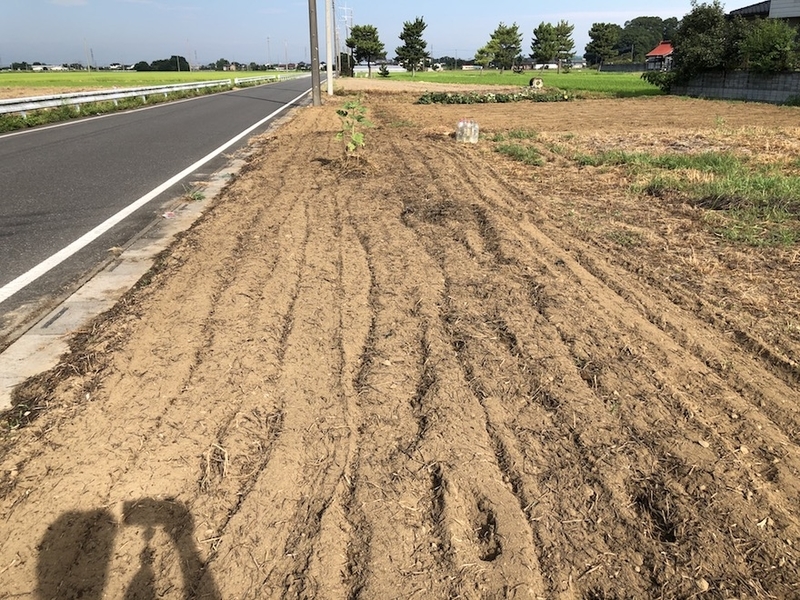 f:id:sk6960:20200817084927j:plain