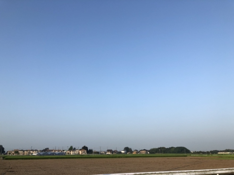 f:id:sk6960:20200821100620j:plain