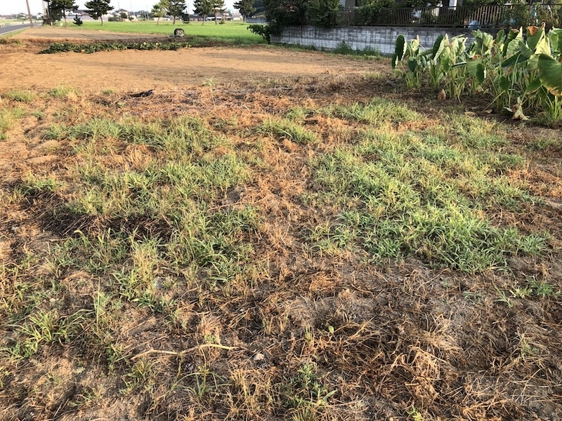 f:id:sk6960:20200821100625j:plain