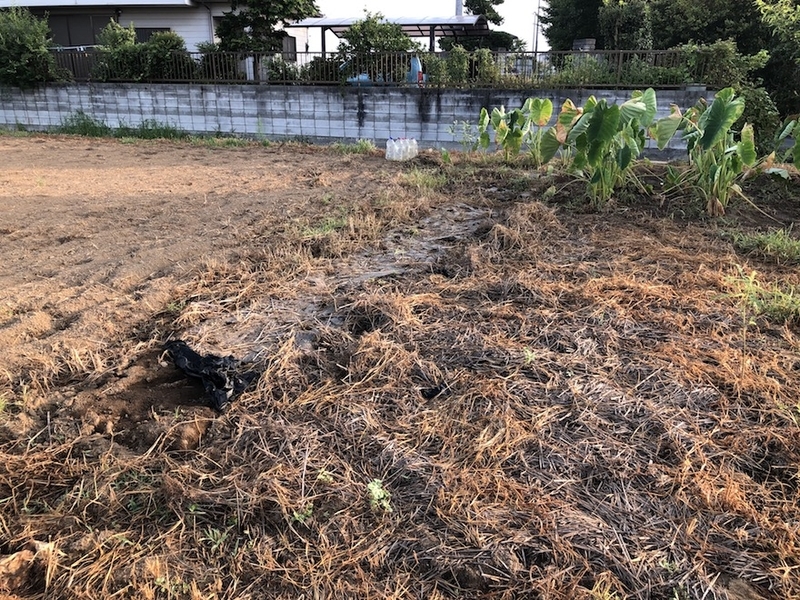 f:id:sk6960:20200821100629j:plain