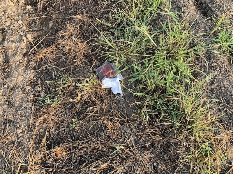 f:id:sk6960:20200821100634j:plain