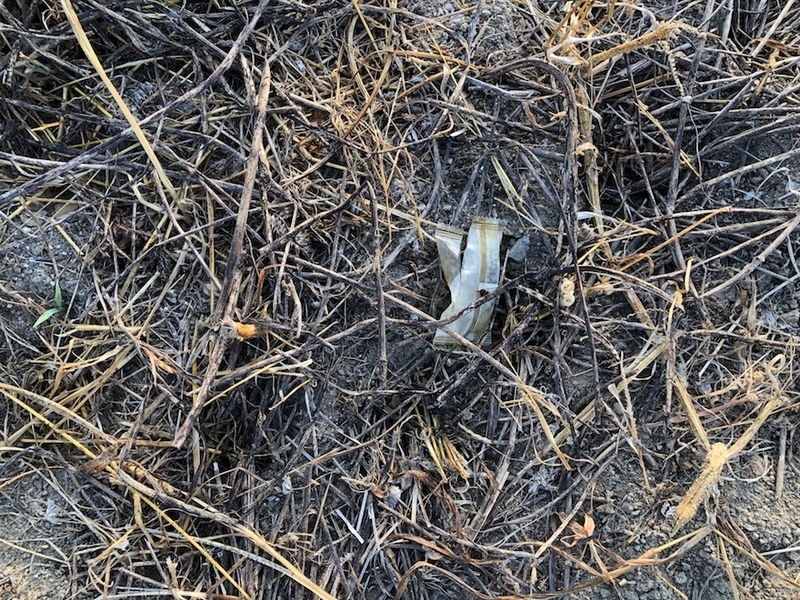 f:id:sk6960:20200821100639j:plain