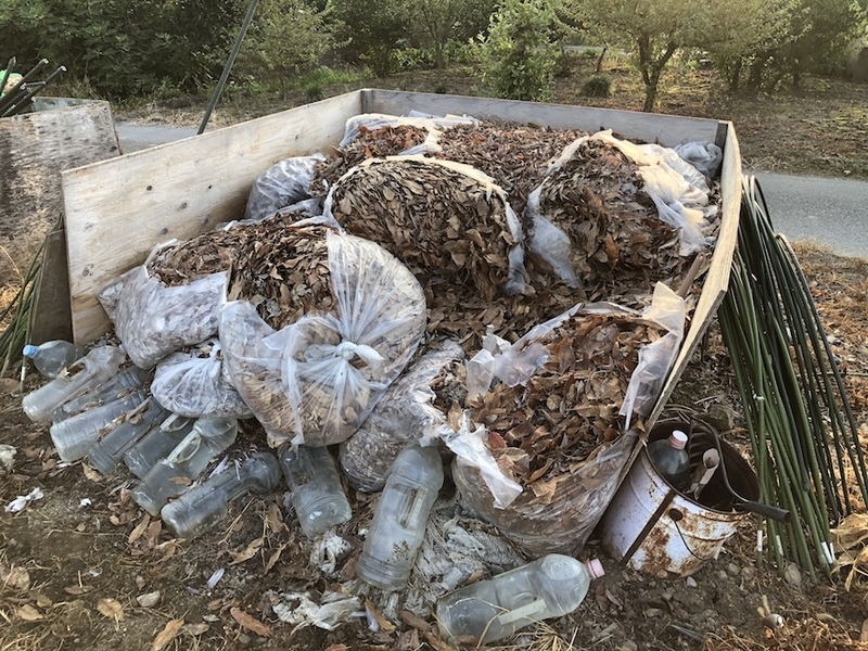 f:id:sk6960:20200821100643j:plain