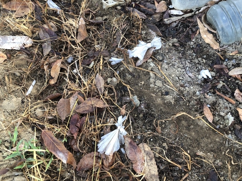 f:id:sk6960:20200821100647j:plain