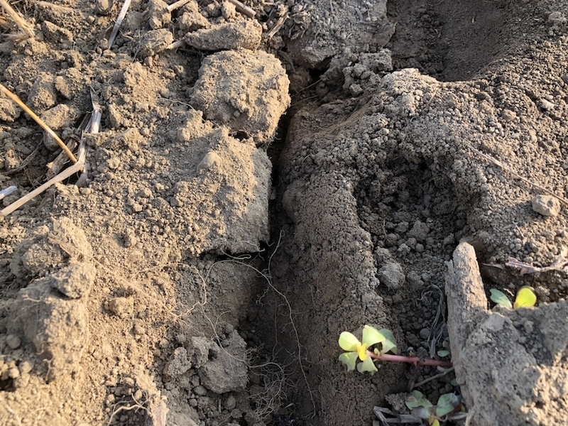 f:id:sk6960:20200821100721j:plain