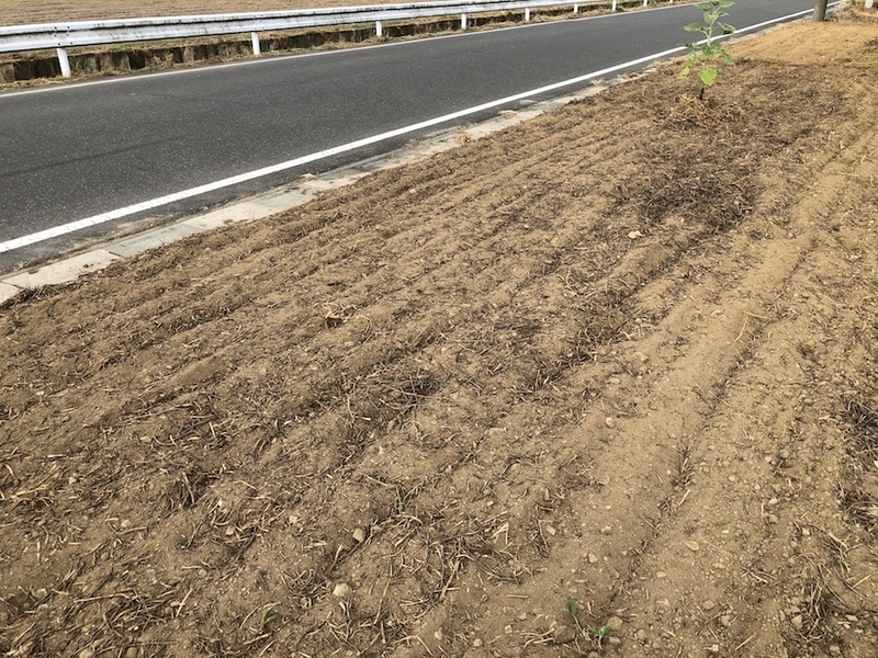 f:id:sk6960:20200823074900j:plain