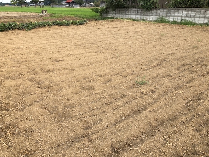 f:id:sk6960:20200823074908j:plain