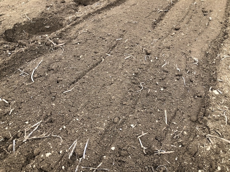 f:id:sk6960:20200823074925j:plain