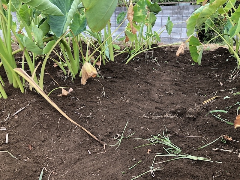 f:id:sk6960:20200823080854j:plain