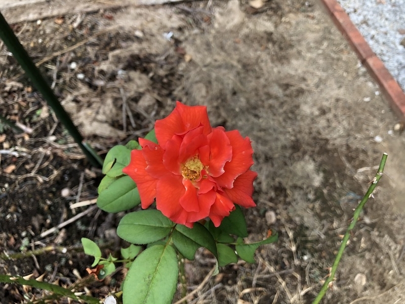 f:id:sk6960:20200823080928j:plain