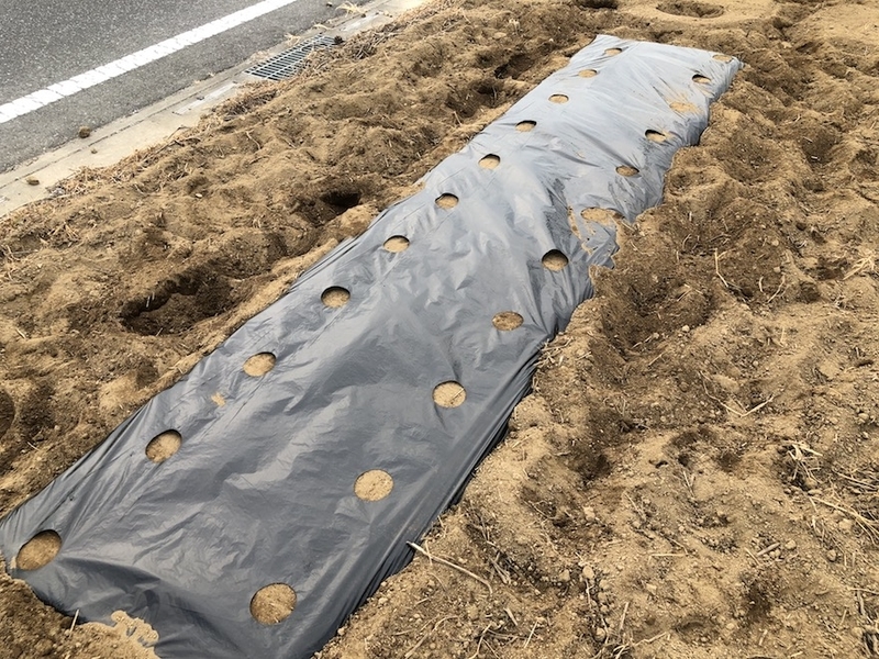 f:id:sk6960:20200823143112j:plain