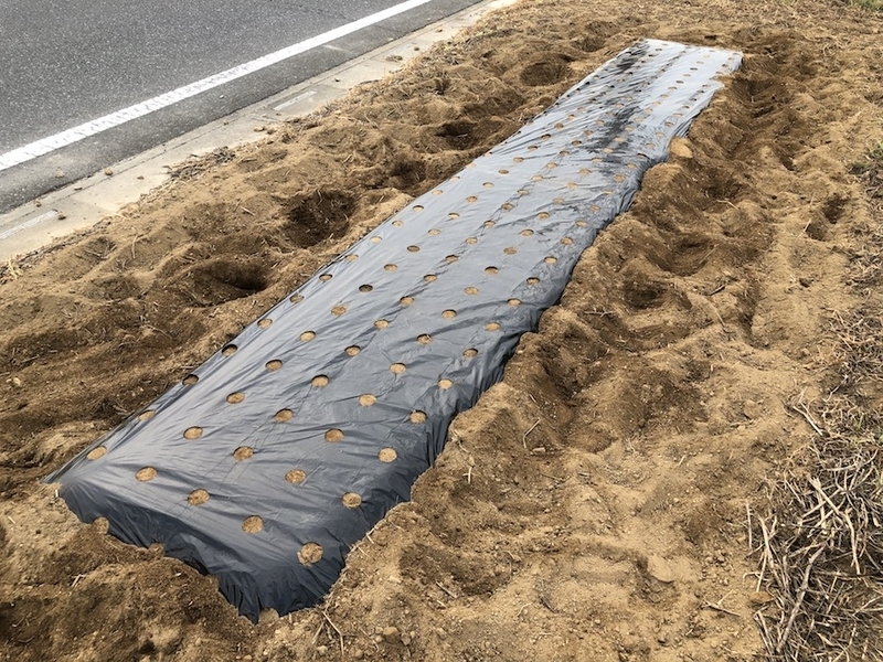 f:id:sk6960:20200823143118j:plain