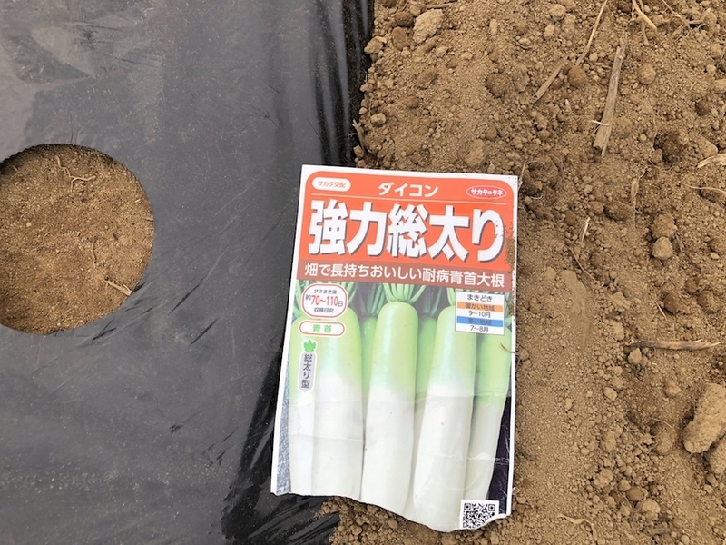 f:id:sk6960:20200823143124j:plain