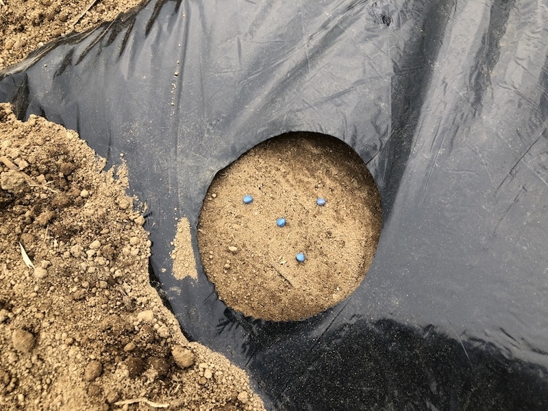 f:id:sk6960:20200823143129j:plain