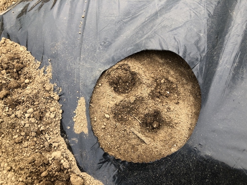 f:id:sk6960:20200823143135j:plain