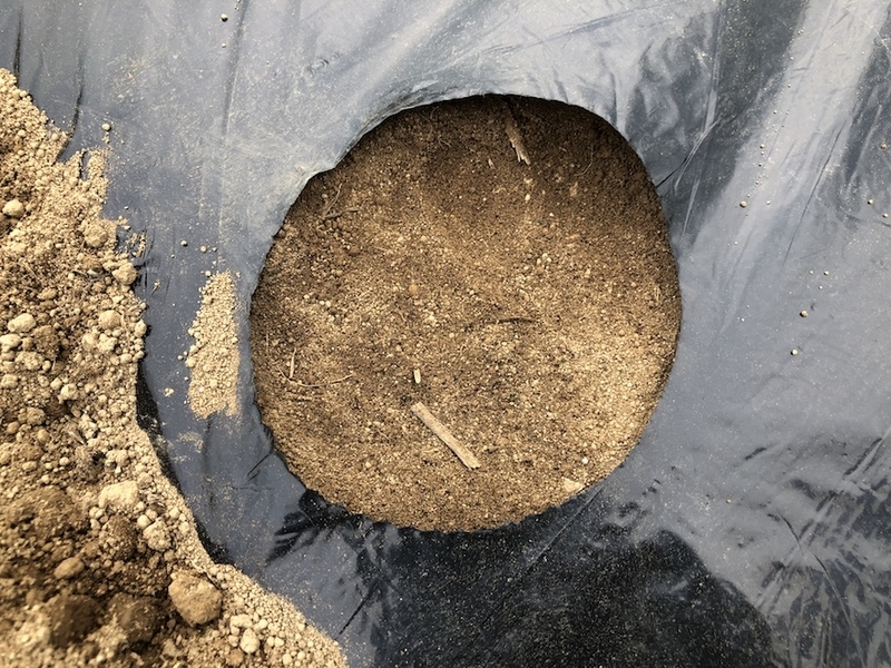 f:id:sk6960:20200823143140j:plain