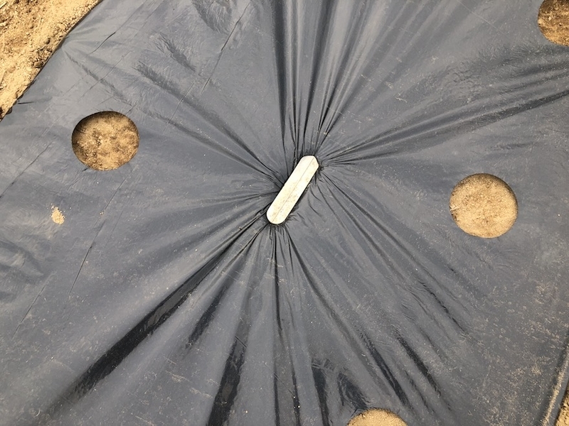 f:id:sk6960:20200823143157j:plain