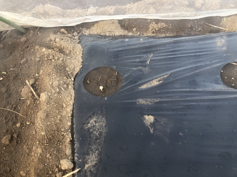 f:id:sk6960:20200825081738j:plain